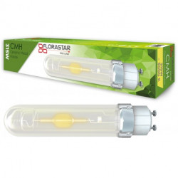 CMH - Ampoule CMH Florastar...